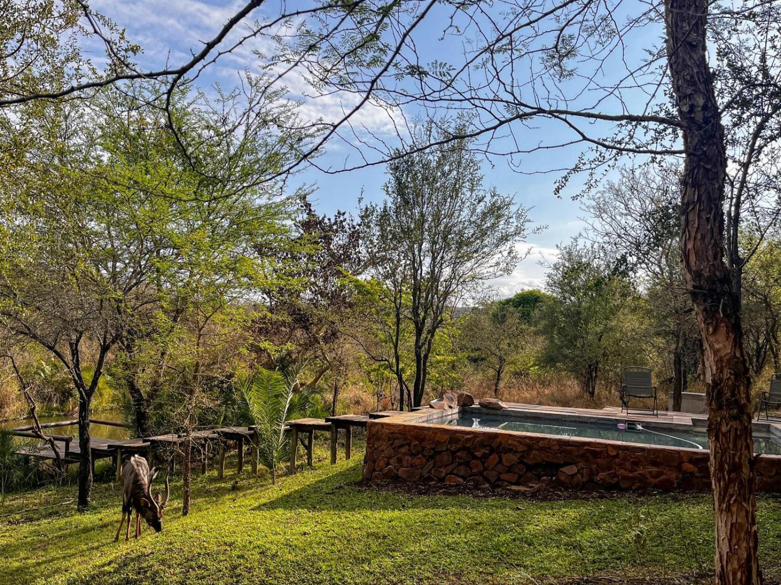 Mbuluzi Game Reserve Simunye Cameră foto