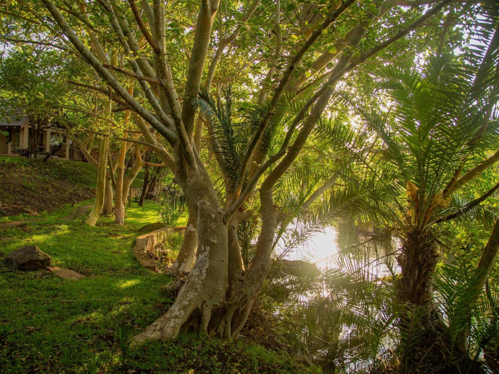Mbuluzi Game Reserve Simunye Cameră foto
