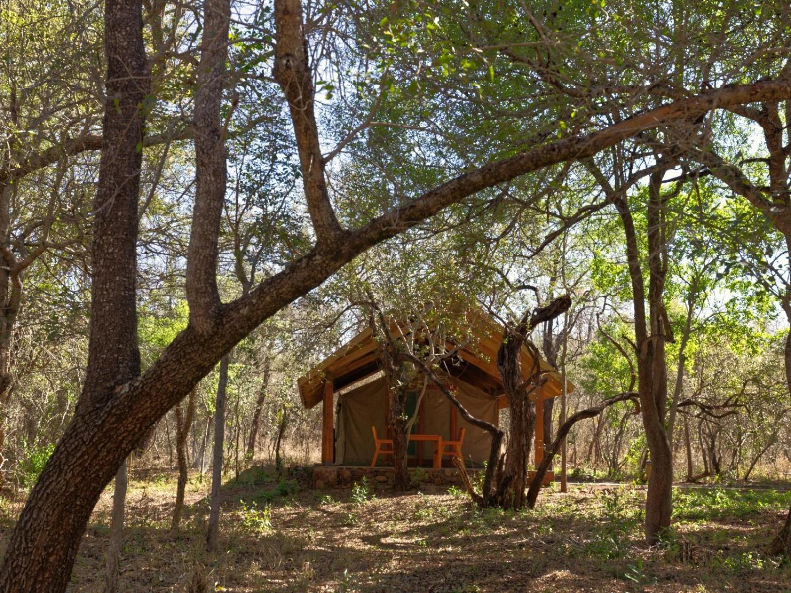 Mbuluzi Game Reserve Simunye Cameră foto